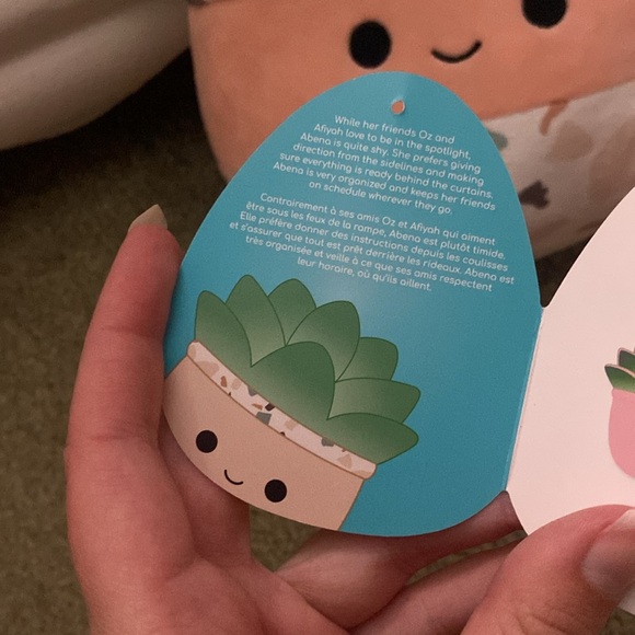 Succulent squishmallow - Picture 3 of 4